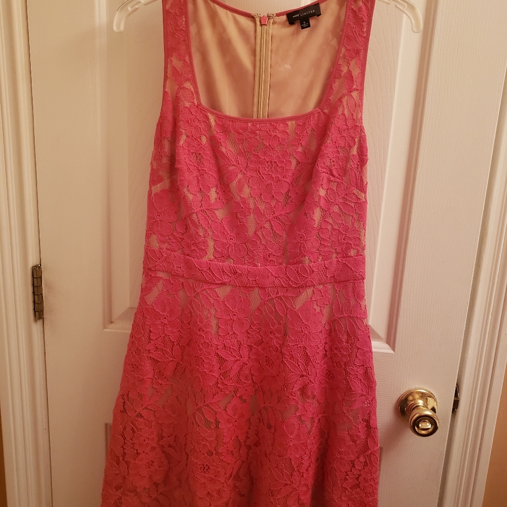 The limited brand dress. - Picture 6 of 11